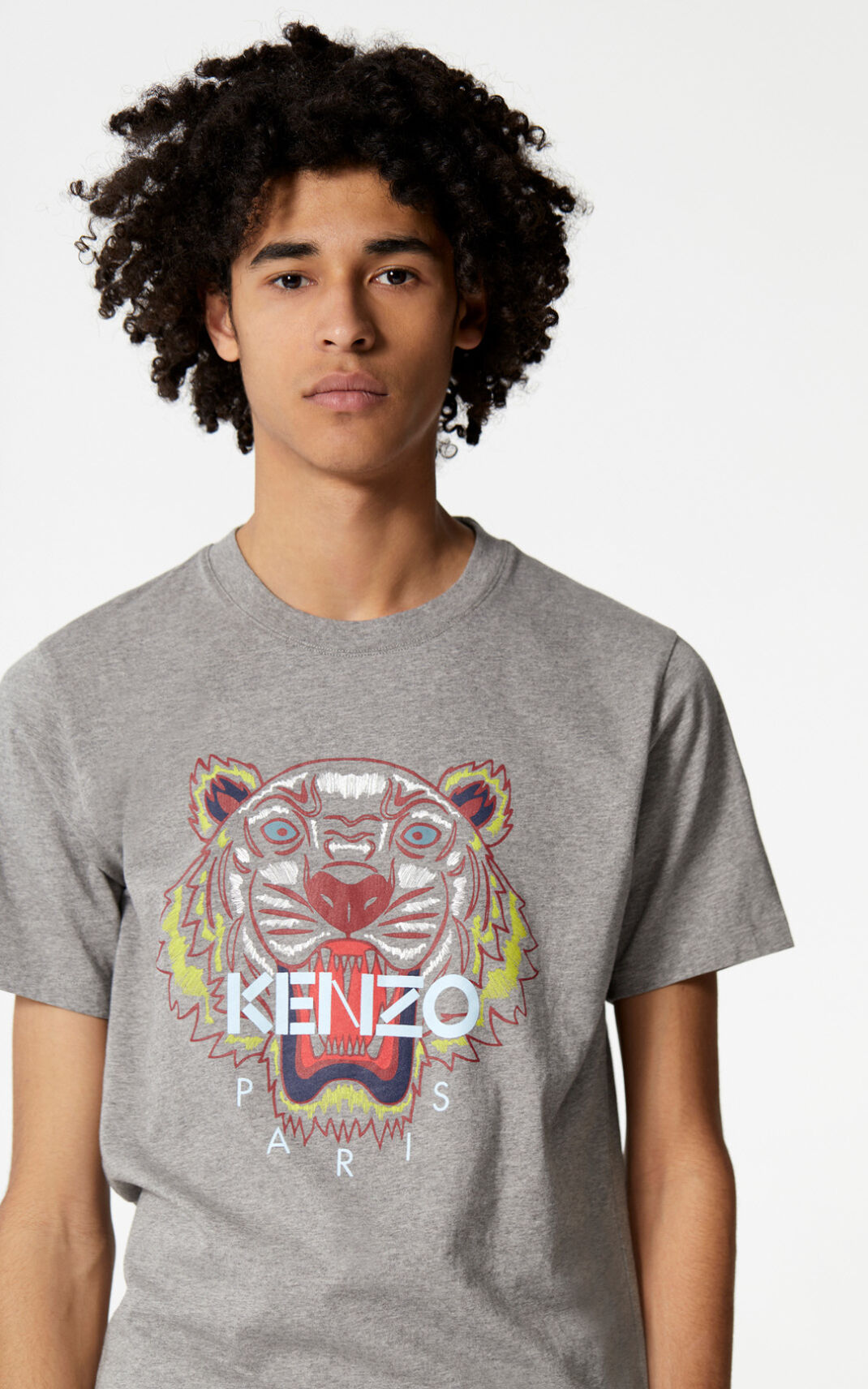 Camiseta Kenzo Tiger Masculino - Cinzentas | 657VESBUR